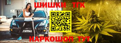 стафф Моздок