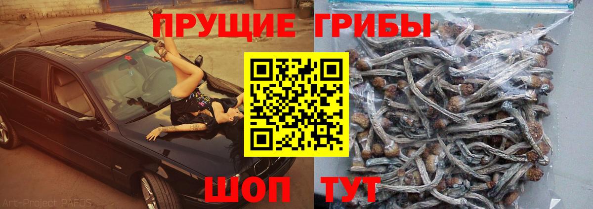 Галлюциногенные грибы прущие грибы Чайковский